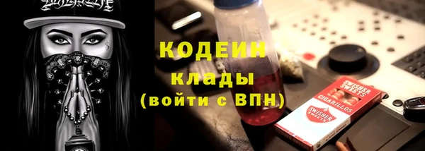 эйфоретик Пересвет