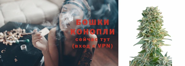 эйфоретик Пересвет