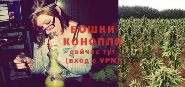 дживик Переславль-Залесский