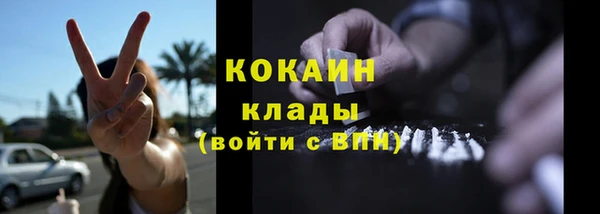 дживик Переславль-Залесский