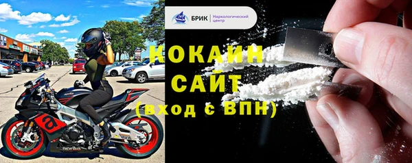 эйфоретик Пересвет