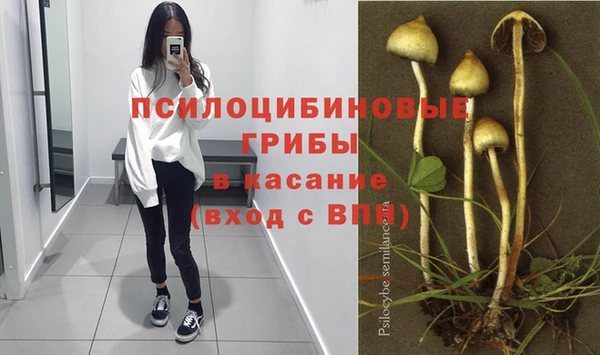 дживик Переславль-Залесский