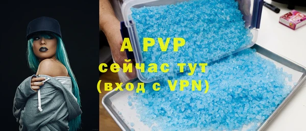 эйфоретик Пересвет