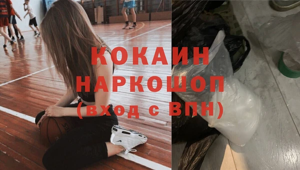 дживик Переславль-Залесский