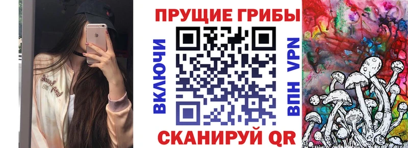 дарнет шоп  Сергач  Псилоцибиновые грибы GOLDEN TEACHER 